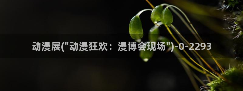 星辰变动漫