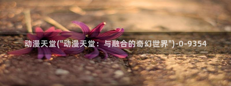 功夫动漫