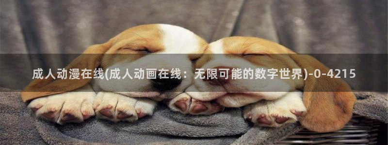 动漫网址