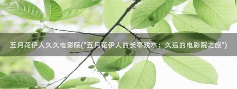伊人蕉香影院久久日：五月花伊人久久电影院(\